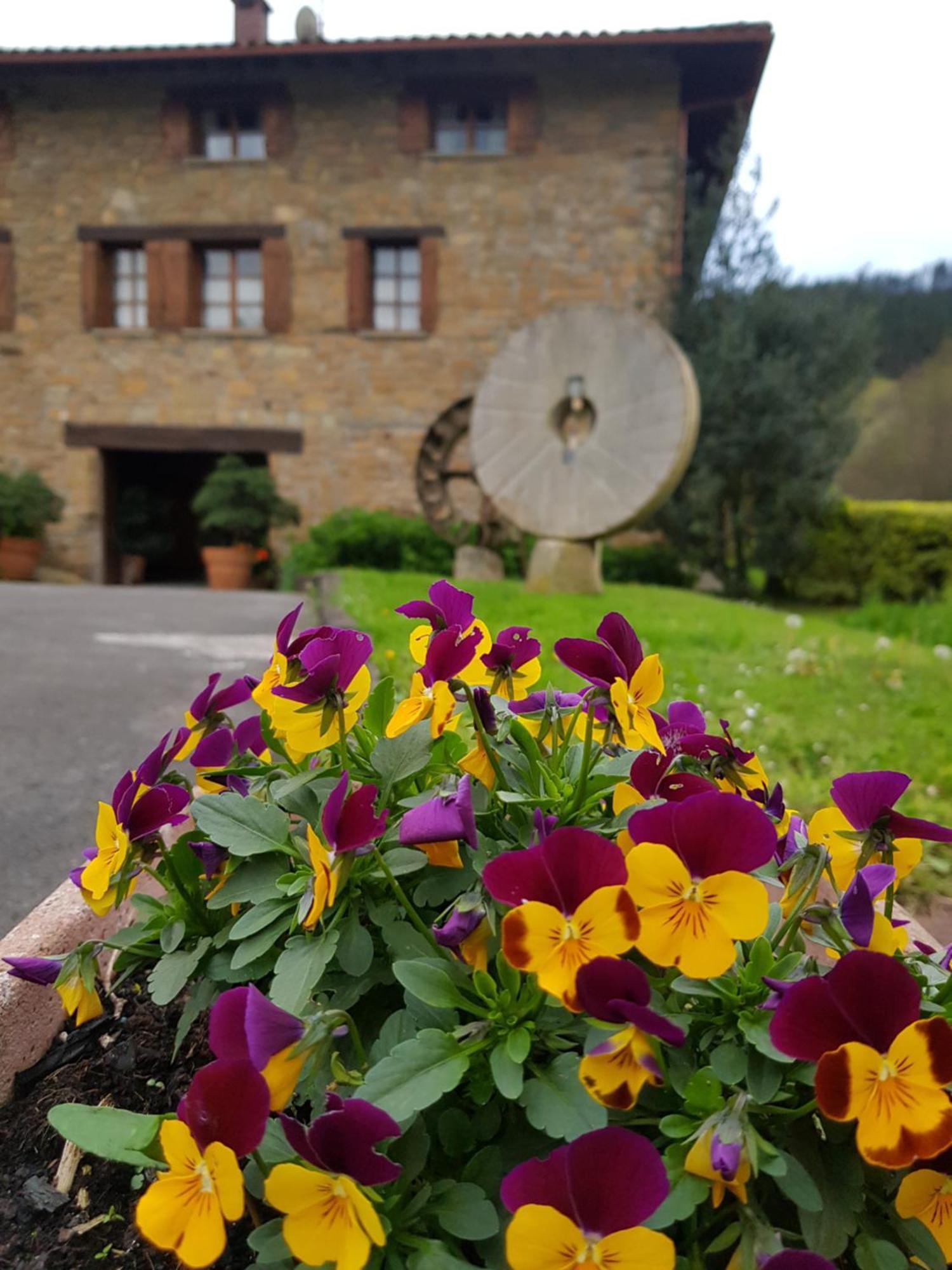 Agroturismo Iberreko Errota Мухика Экстерьер фото